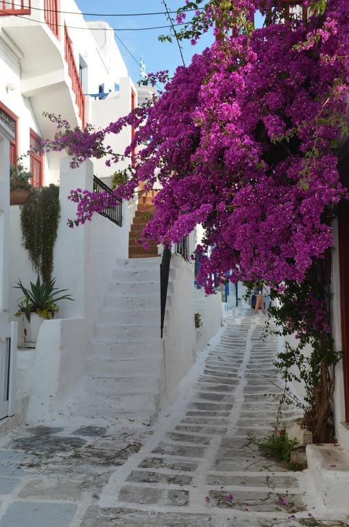 Ferienwohnung White And Grey Chora Mykonos Town Exterior foto